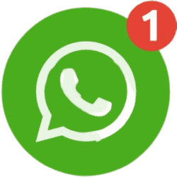 whatsapp kami